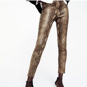 Zara Snake Print Coated Leggings Size Small